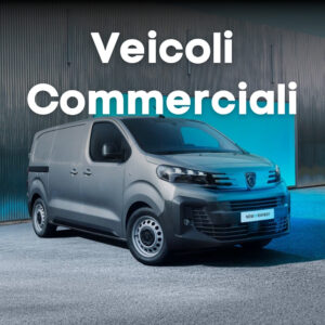 banner veicoli commerciali v2